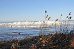 Eisberge am Haff