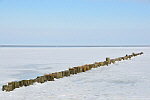 Strand im Winter